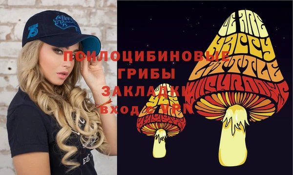 дмт Алексеевка